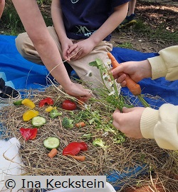 Vorbereitung der Meerschweinchen-Pizza, 1