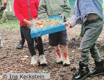 Vorbereitung der Meerschweinchen-Pizza, 2