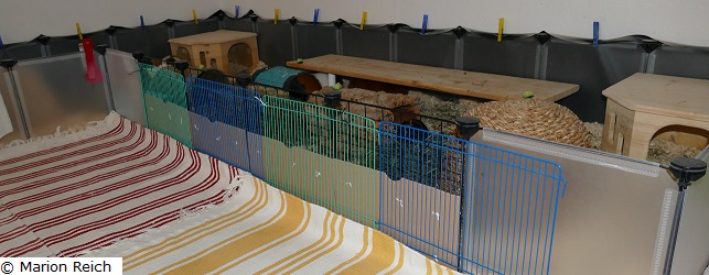 Babysicherung