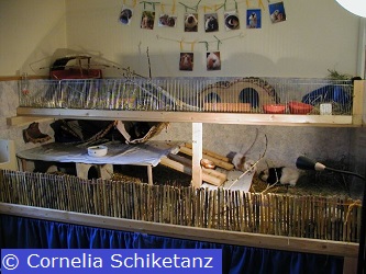 Beispiel 5 für einen Eigenbau