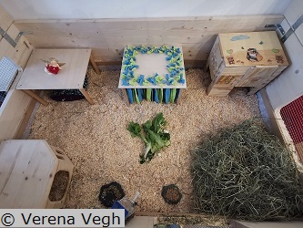 Beispiel 3 für einen Eigenbau