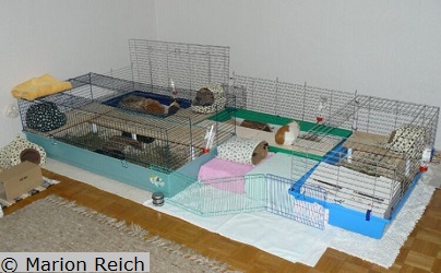 Käfiglandschaft, Beispiel 2