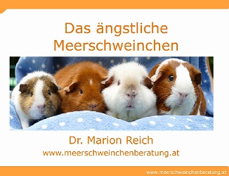 Webinar: Das ängstliche Meerschweinchen