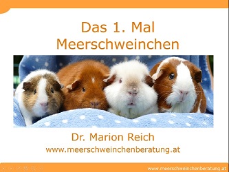 Webinar: Das 1. Mal Meerschweinchen