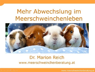 Webinar: Mehr Abwechslungen im Meerschweinchenleben